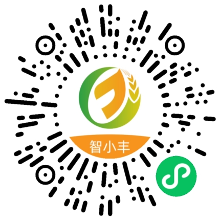 智小丰小程序码